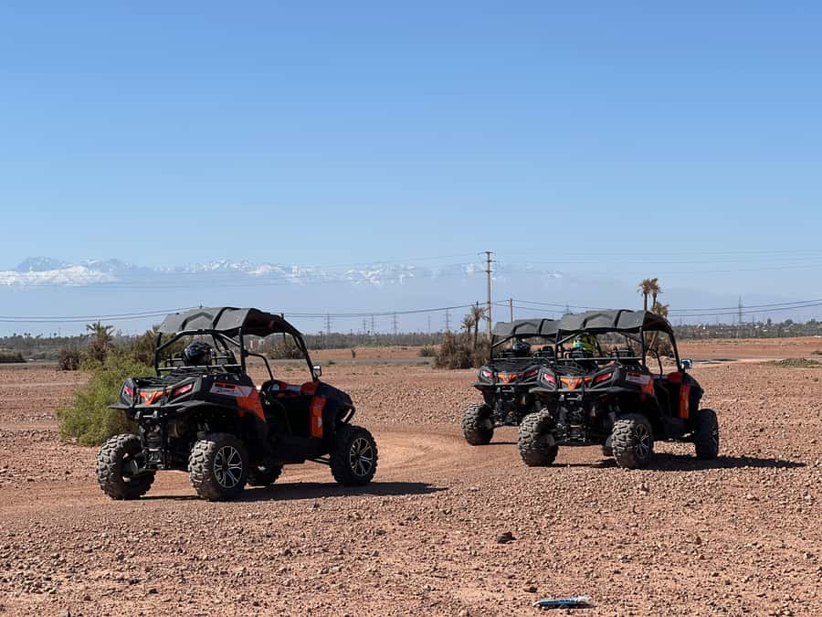 Marrakech Buggy Palmerie and Desert - Desert trails and Berber village views: what you see between turns