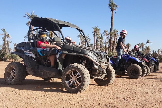 Marrakech: Buggy Tour in the Palmgroves - Group Size, Guides, and the Comfort/Safety Balance