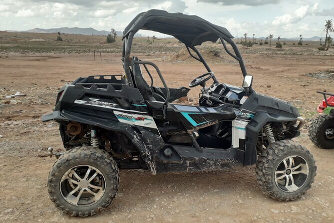 Marrakech: Buggy Tour in the Palmgroves - Who Should Book This Buggy Tour (and Who Might Skip It)