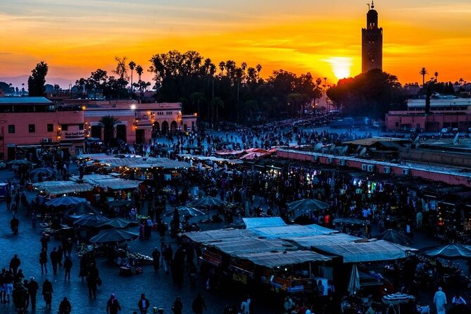 Marrakech by Night Tour - Price and Value: Is $33.82 a Smart Deal for Marrakech Night?