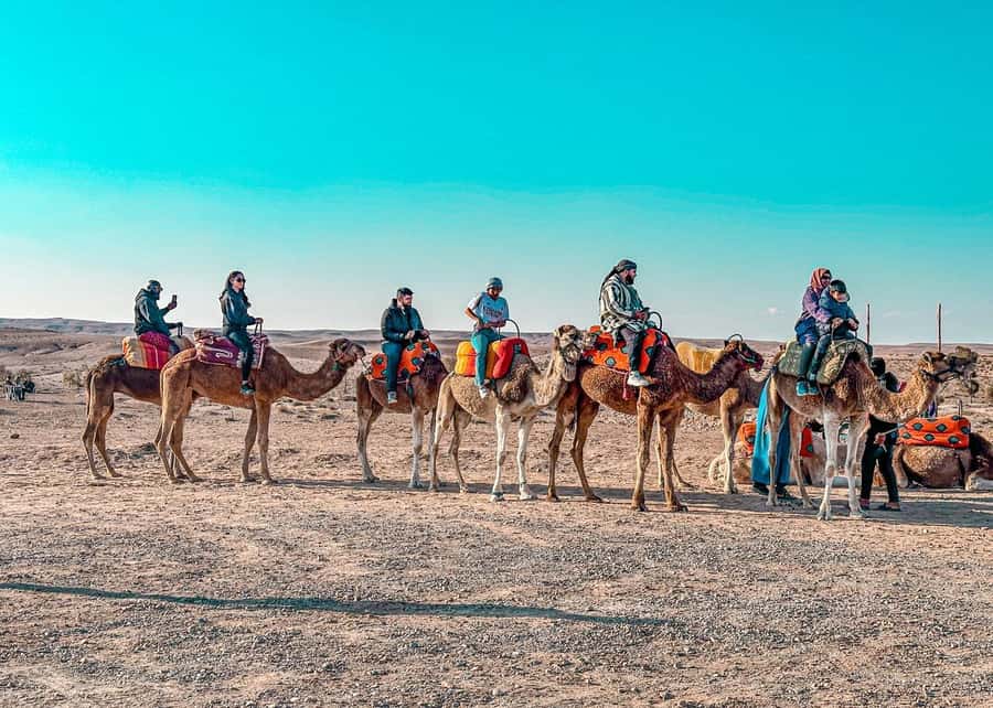Marrakech: Camel Ride, Dinner, Pool, and Fire Show in Agafay - Hotel Pickup to the Agafay Camp: How the Evening Stays Manageable