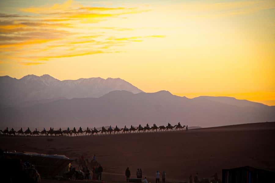 Marrakech: Camel Ride, Dinner, Pool, and Fire Show in Agafay - The Fire Show: When the Sky Finally Turns Dark