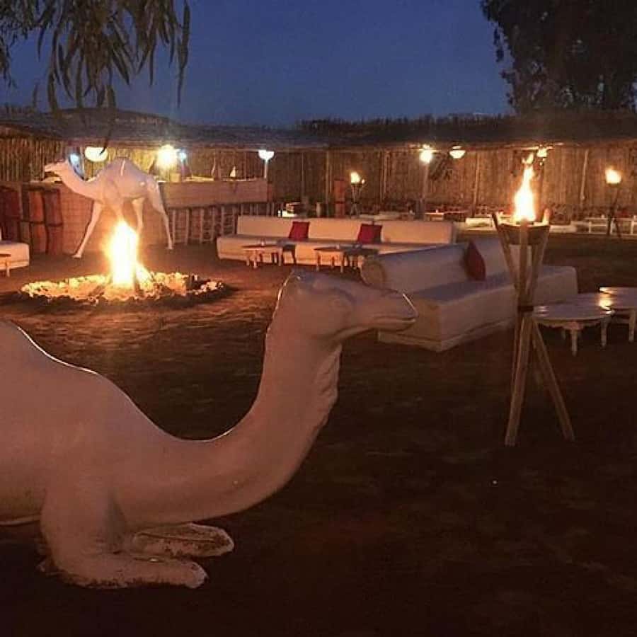 Marrakech: Camel Ride & Dinner with Sunset in Agafay Desert - Dinner Under the Stars: Food, Bonfire, and Performances