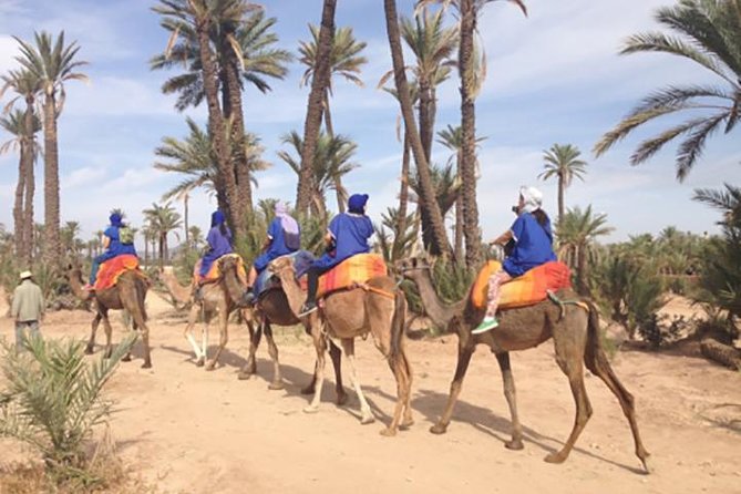 Marrakech Camel Ride Experience with Pick-up - Marrakech Palm Grove Camel Ride: Why This Feels Worth It