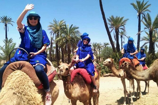 Marrakech Camel Ride in Palmeraie - Key Highlights From This Marrakech Camel Ride