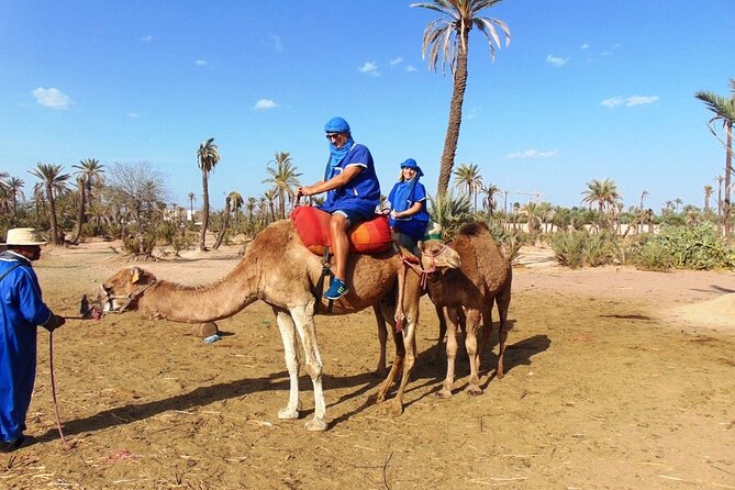 Marrakech Camel Ride in Palmeraie - Camelback in the Palmeraie: What You Do in Two Hours