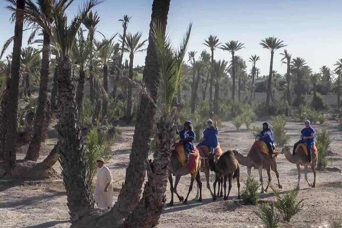Marrakech Camel Ride in Palmeraie - Riding Through the Oasis Palmeraie: Views, Pace, and Comfort