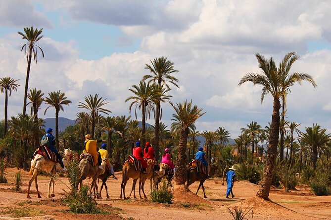 Marrakech Camel Ride in Palmeraie - Hotel Pickup and the Start of Your Marrakech to Palmeraie Day