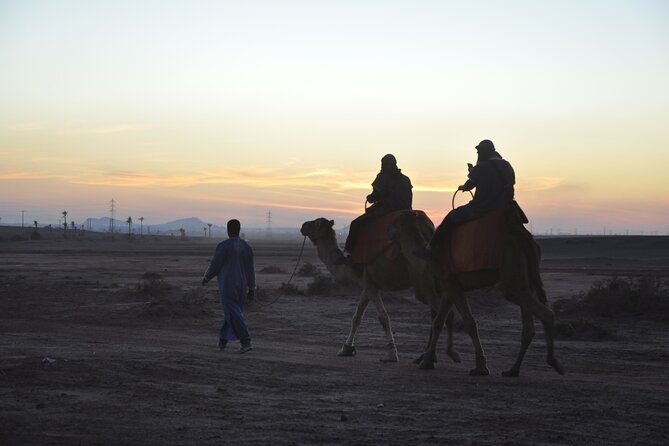 Marrakech: Camel Ride in the Palm Grove - Key highlights at a glance