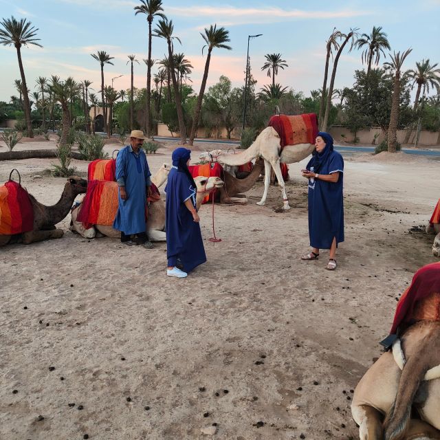 Marrakech: Camel Ride in the Palm Grove - Should You Book This Marrakech Camel Ride?