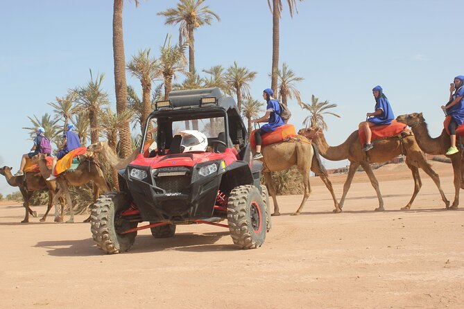 Marrakech: Camel Ride in the Palm Grove - Palm Grove Camel Ride: Marrakech’s Palmeraie, Not a Sahara Marathon