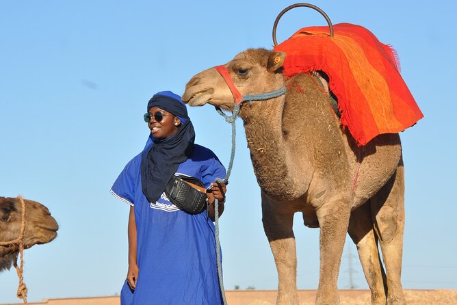 Marrakech: Camel Ride in the Palm Grove - The Camel Ride Itself: What 60 Minutes Feels Like
