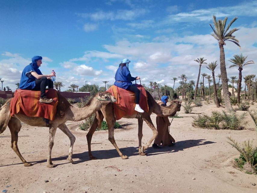 Marrakech: Camel Ride in the Palm Grove - Who This Camel Ride Suits Best (and Who Should Skip It)