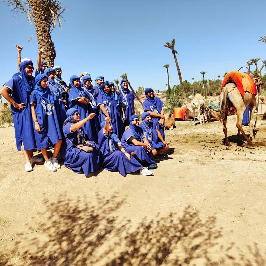Marrakech: Camel Ride in the Palm Grove - Practical Tips Before You Go