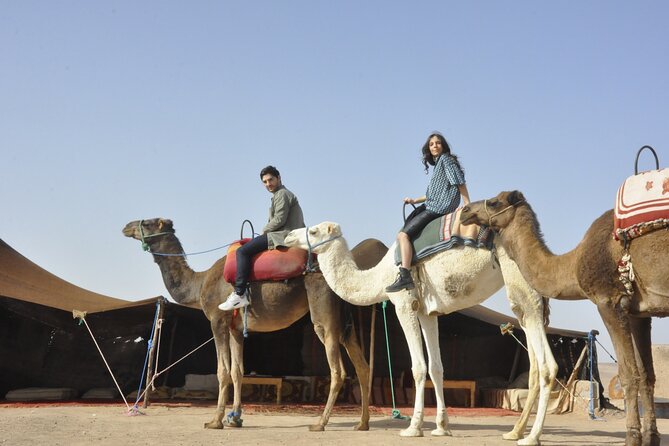 Marrakech camel ride in the palm grove - Camel time through palm paths, villages, and oasis sand