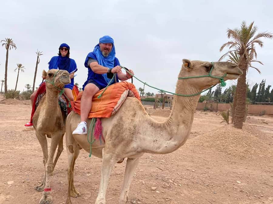 Marrakech Camel Ride in the Palmeraie Palm Grove - Key things that make this Palmeraie camel ride worth it