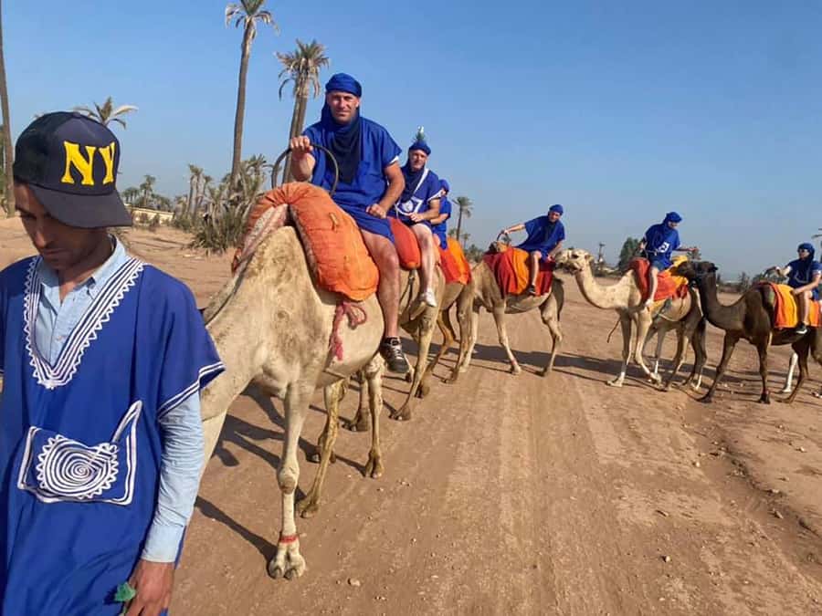 Marrakech Camel Ride in the Palmeraie Palm Grove - Camel Time in the Palmeraie at Golden Hour