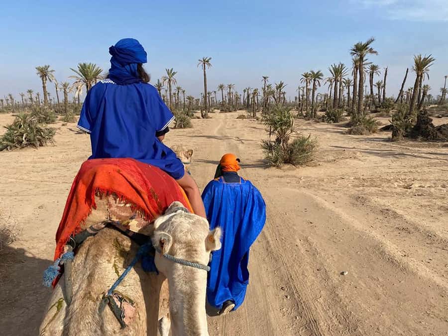 Marrakech Camel Ride in the Palmeraie Palm Grove - Meet the Tuareg Look: Chache and Gandora