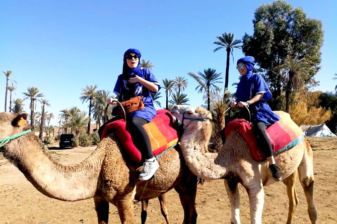 Marrakech Camel ride & Quad Bike experience in the oasis Palmeraie - Quad Bike Time in Marrakech: What the 1h45 Ride Feels Like