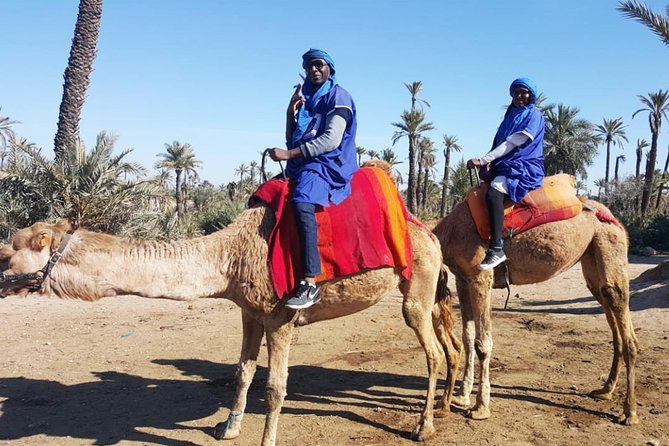 Marrakech Camel ride & Quad Bike experience in the oasis Palmeraie - Booking Smart: Pickup Times, Season, and Weather