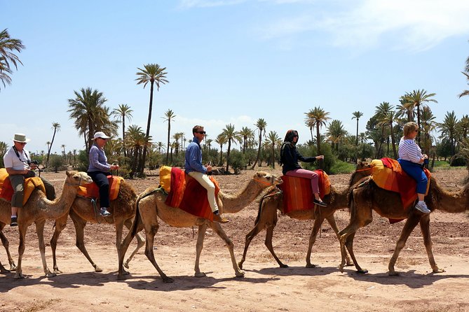 Marrakech Camel Ride Tour - Heat, Timing, and What to Expect Weather-Wise