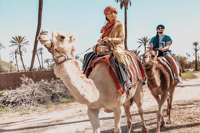 Marrakech Camel Ride Tour - Value Check: Is $25.54 a Fair Deal?