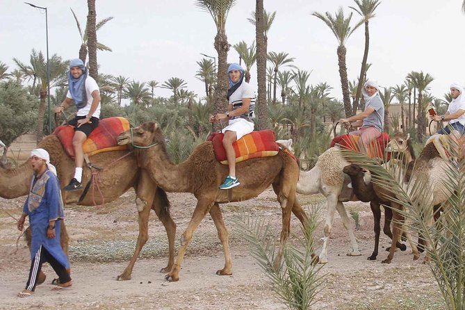Marrakech Camel Ride Tour - Should You Book the Marrakech Camel Ride Tour?