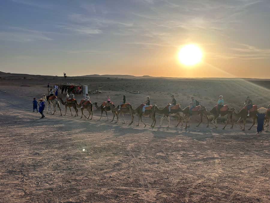Marrakech: Camel Ride with Dinner and Moroccan Music - Key things to know before you go
