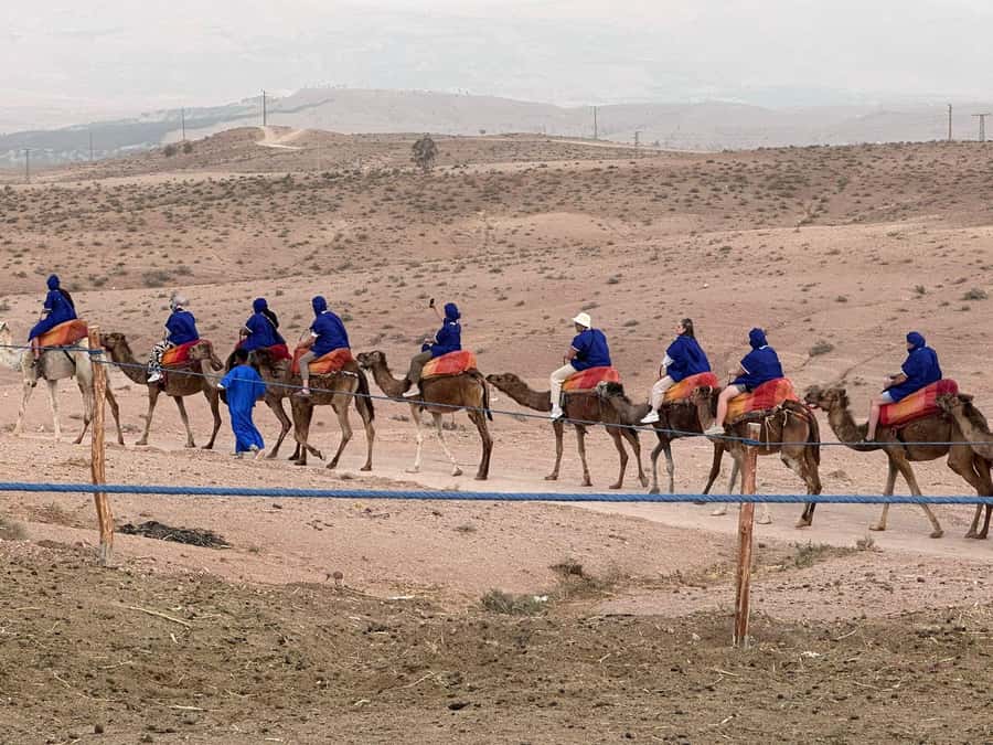 Marrakech: Camel Ride with Dinner and Moroccan Music - Why the Agafay Desert Sunset Works So Well From Marrakech