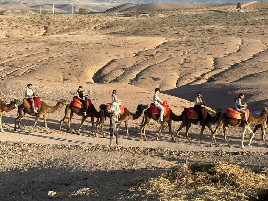 Marrakech: Camel Ride with Dinner and Moroccan Music - Camel Ride in Agafay: What the Experience Feels Like