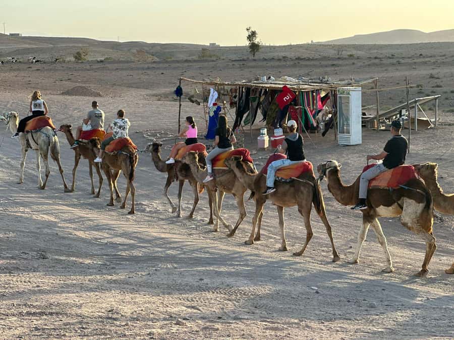 Marrakech: Camel Ride with Dinner and Moroccan Music - Price and Value: Is $44 Actually a Good Deal?