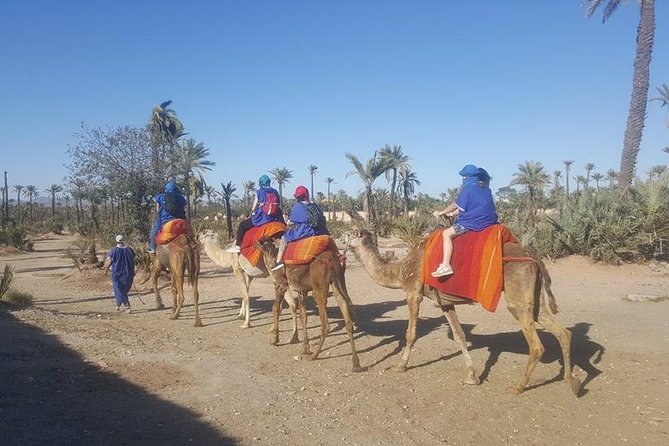 Marrakech Camel Safari at Agafay Desert - Key things to know before you go