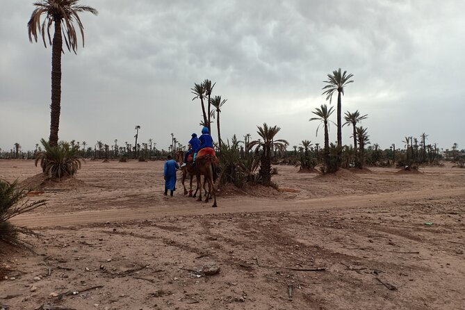 Marrakech Camel Safari at Agafay Desert - Guides can make or break a ride: Ahmed, Hakim, Lahcen and the team