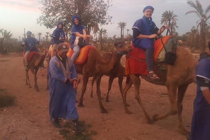 Marrakech Camel Safari at Agafay Desert - Sunset timing and the Agafay expectation: stony desert, not Sahara sand