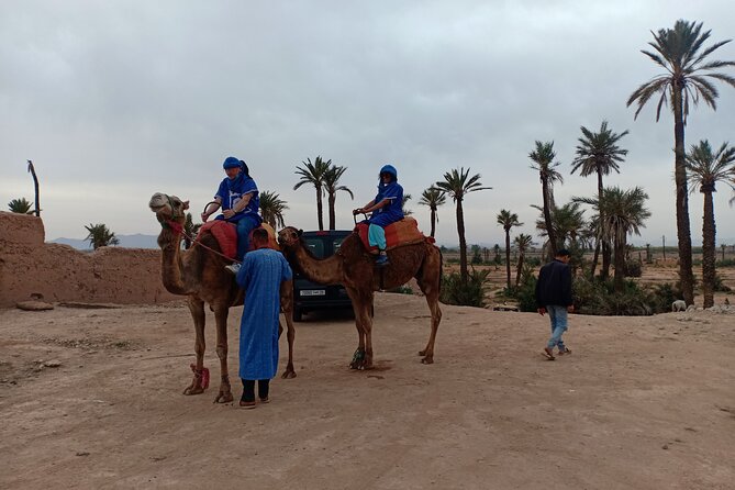 Marrakech Camel Safari at Agafay Desert - Price and value: $49.96 for a short desert outing with pickup