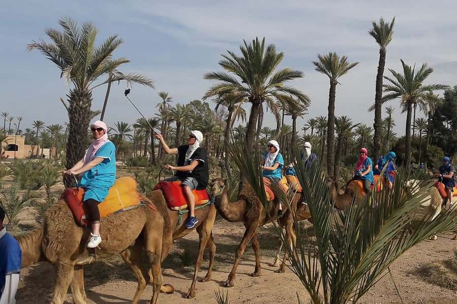 Marrakech: Camel Trek - The Camel Ride: Palm Groves, Lines of Camels, and Real Pace