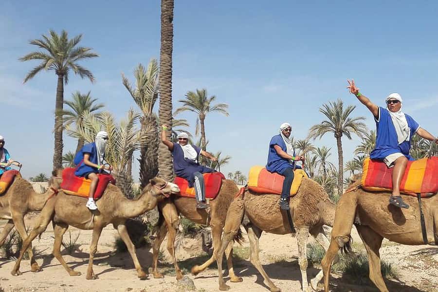 Marrakech: Camel Trek - Pickup and Timing: Why the 90 Minutes Might Feel Different