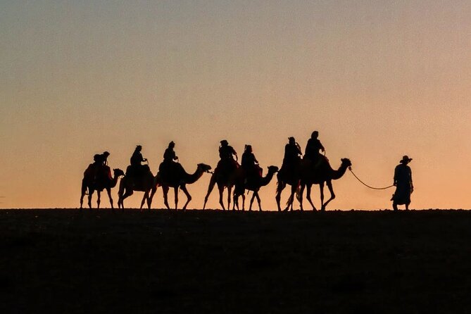 Marrakech: Camels & Quads on Sunset and Luxury Dinner with Show - Key Highlights You’ll Feel Immediately