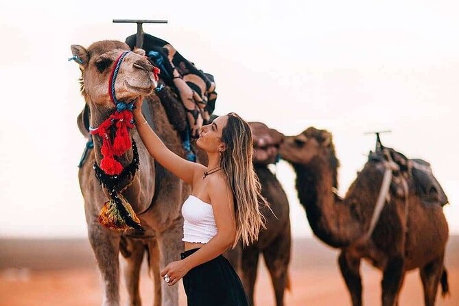 Marrakech: Camels & Quads on Sunset with Luxury Dinner, Fireshow - Key things I’d circle before you book