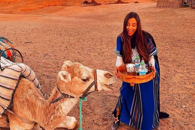 Marrakech: Camels & Quads on Sunset with Luxury Dinner, Fireshow - Camel Trek at Sunset: Berber Outfit, Guides, and Photo Time