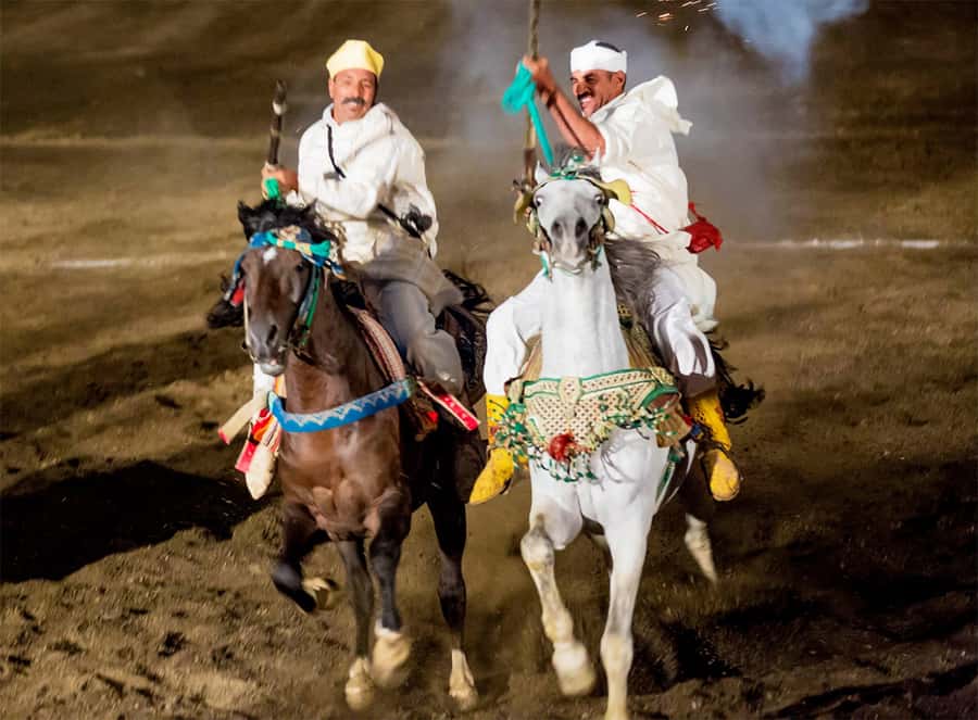 Marrakech: Chez Ali Fantasia Folklore Show & Moroccan Dinner - Animal-welfare concerns: should you think about the fantasia this way?