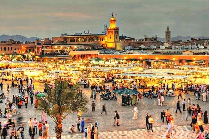 Marrakech City Highlights Half Day Private Tour - Who should book this Marrakech city highlights private tour