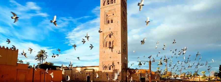 Marrakech City Tour, Private Fullday with Luxury Car - Luxury car pickup in the Medina: less stress, more time seeing