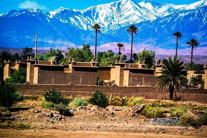 Marrakech City Tour with private driver - Booking fit: private, flexible timing, and how the day flows
