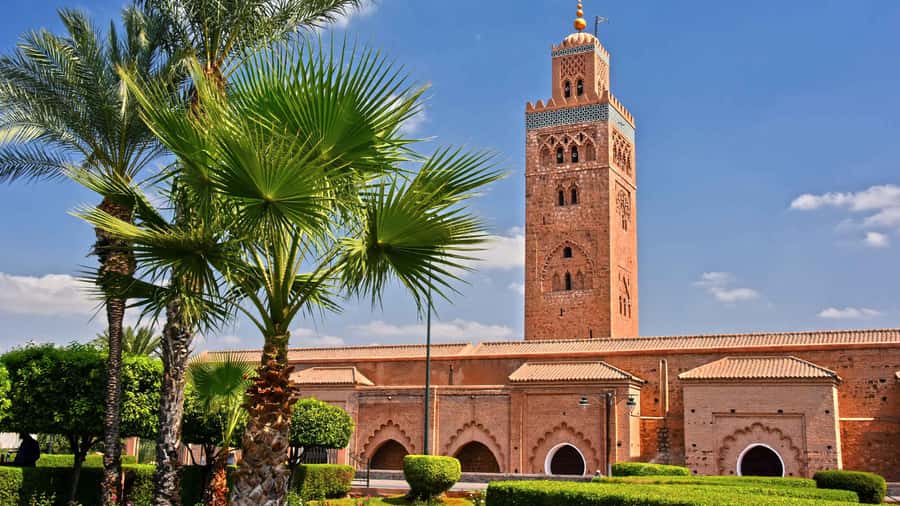 Marrakech: Cooking class in Marrakech by Chef Ayoub - Chef Ayoub and your local family welcome