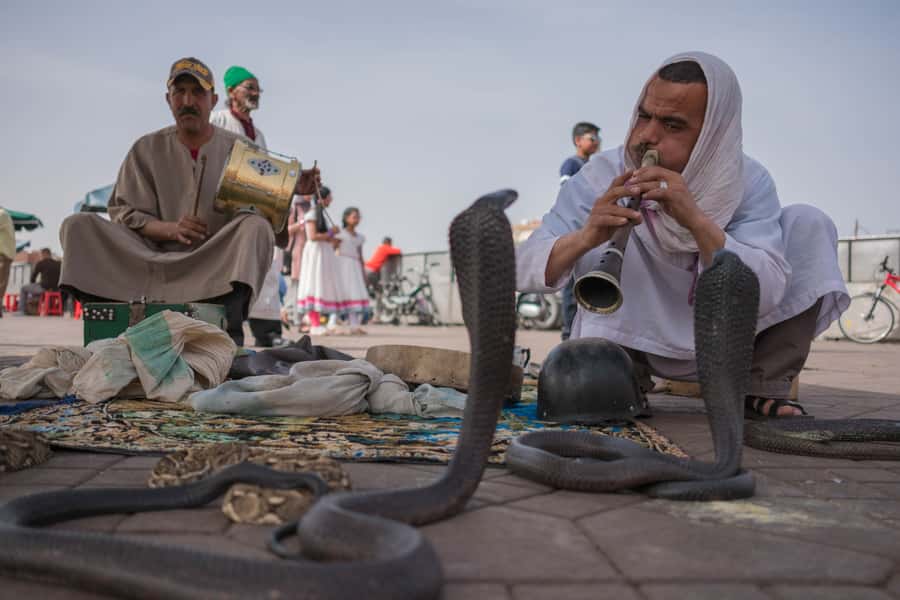 Marrakech: Customized Guided Walking Tour - Start at Cafe de France, Then Let the Medina Set the Rhythm