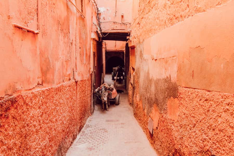 Marrakech: Customized Guided Walking Tour - Bahia Palace, Koutoubia Mosque, Menara Gardens, Saadian Tombs