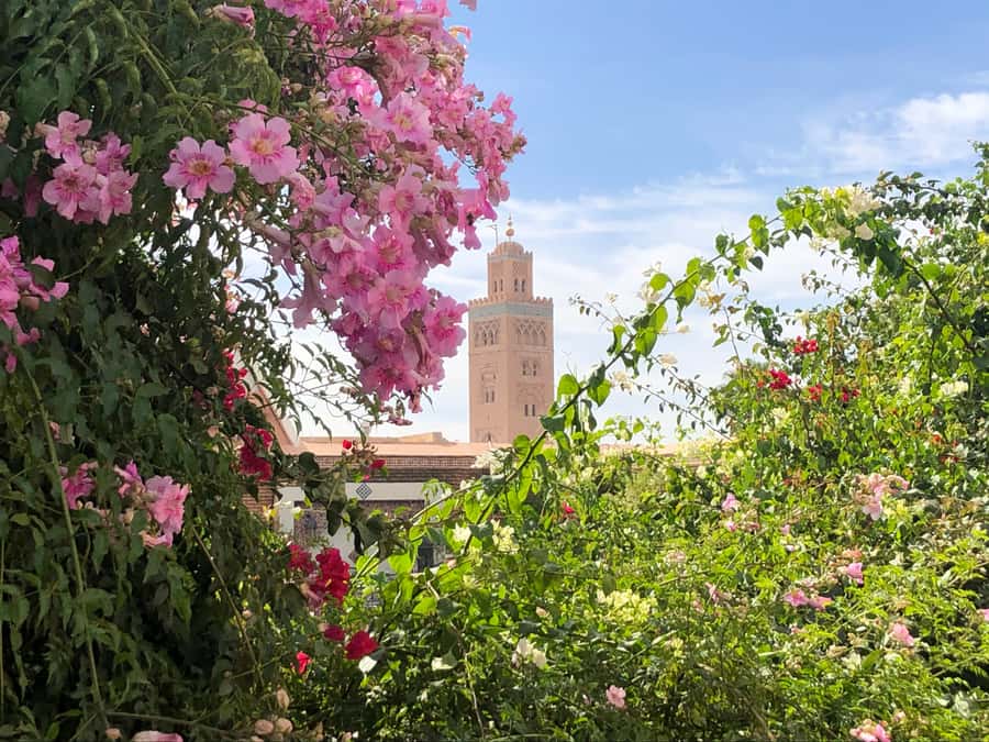 Marrakech: Customized Guided Walking Tour - Shopping Stops vs. Sightseeing: A Simple Way to Keep Control