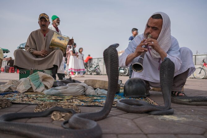 Marrakech day tour Immersion in Craft and Culture in VIP Van - Why a VIP van day works in Marrakech