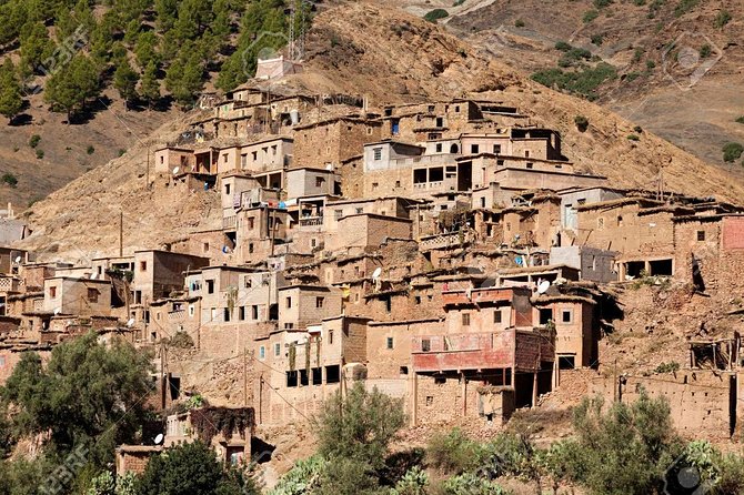 Marrakech day tour to Atlas Mountains & Ourika valley - Key things I’d put on your radar